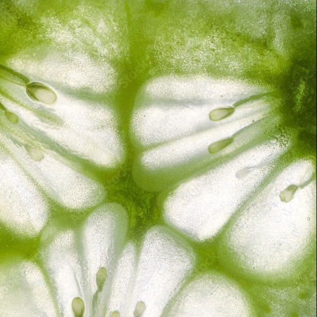 Cucumber Distillate (Cucumis Sativus):